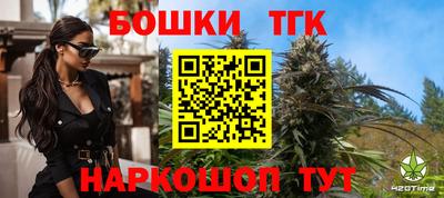 гашик Лесосибирск