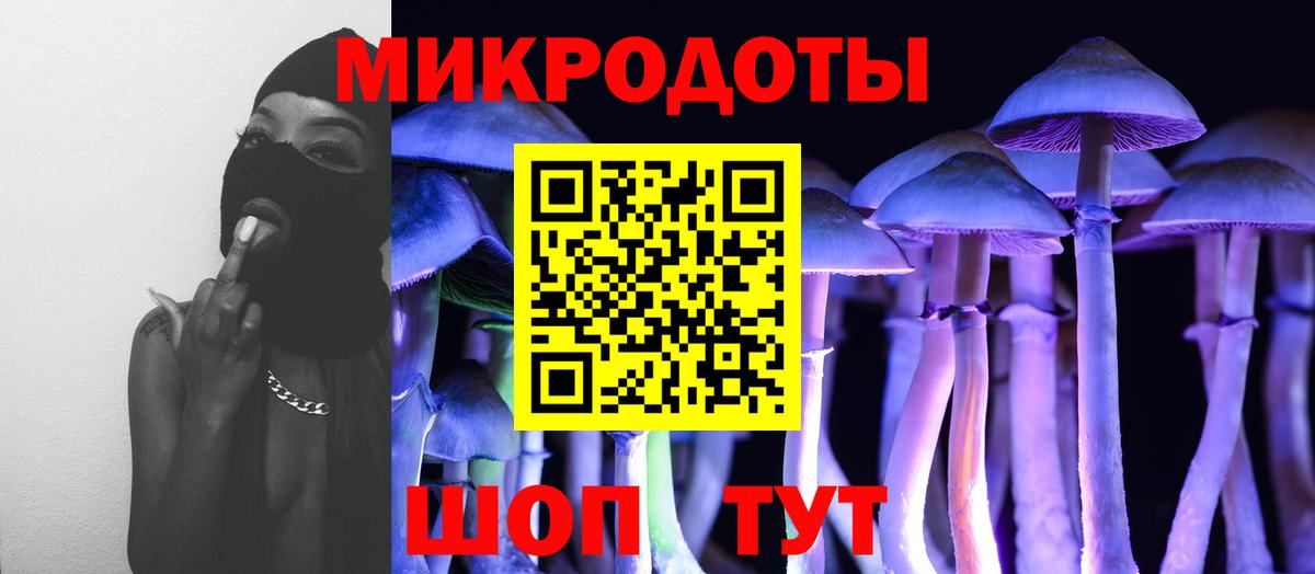 купить закладку  Псилоцибиновые грибы Psilocybe  Вход с VPN  Елец 